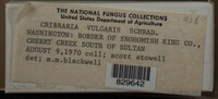 Image Associated With the Occurence